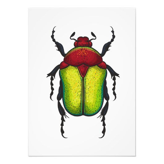 Flower beetle fotodruck (Vorne)