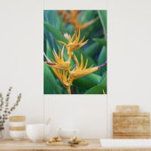 Flower bird of paradise poster (Küche)