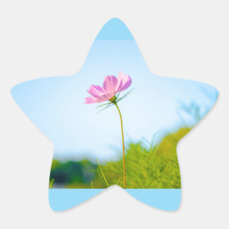 flower bloom Stern-Aufkleber