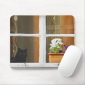 Flower by the window, Sighisoara, Romania Mousepad (Mit Mouse)