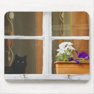 Flower by the window, Sighisoara, Romania Mousepad
