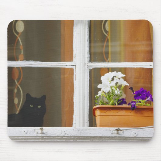 Flower by the window, Sighisoara, Romania Mousepad (Vorne)