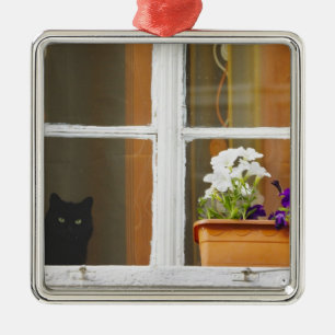 Flower by the window, Sighisoara, Romania Silbernes Ornament