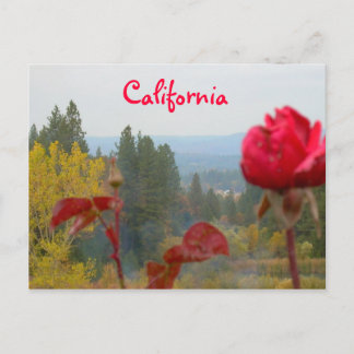Flower California Postkarte