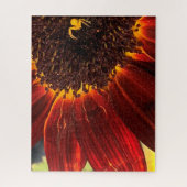 Flower Crab Spider and Red Sunflower Puzzle (Vertikal)