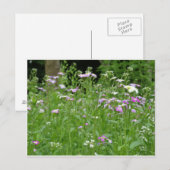 flower field postcard postkarte (Vorne/Hinten)