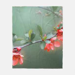 Flower flowers quince bush spring fleecedecke