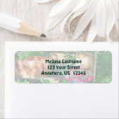 Flower Garden Arrangement Painting Address (Insitu)