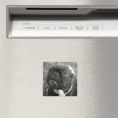 Flower Girl Magnet (In Situ (Geschirrspüler))