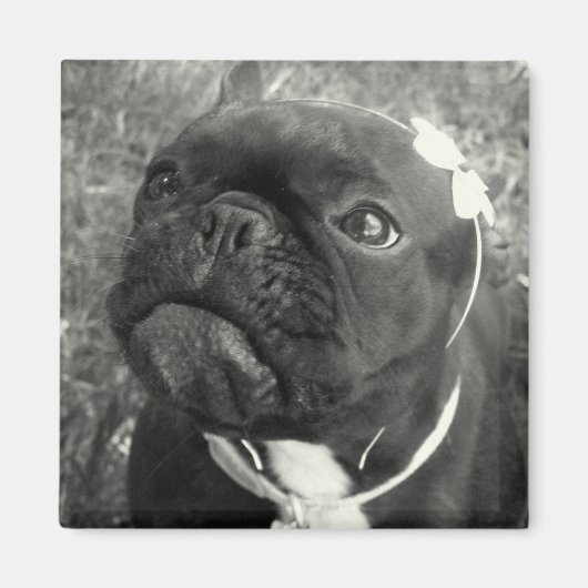 Flower Girl Magnet (Vorne)