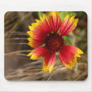 Flower in the Wind Mousepad