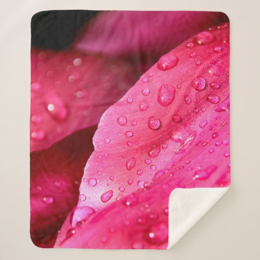 Flower leaf macro dew drops nature sherpadecke (Vorderseite)