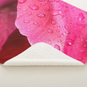 Flower leaf macro dew drops nature sherpadecke (3/4)