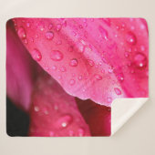 Flower leaf macro dew drops nature sherpadecke (Vorderseite (Horizontal))