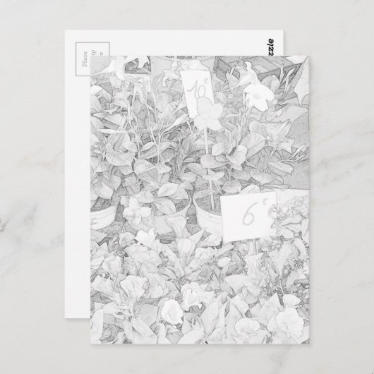 Flower Market Coloring Postkarte (Vorne/Hinten)