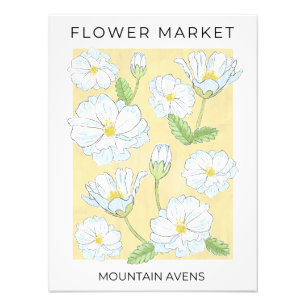 Flower Market Weiße Alpine Berg-Aven-Blumen Fotodruck
