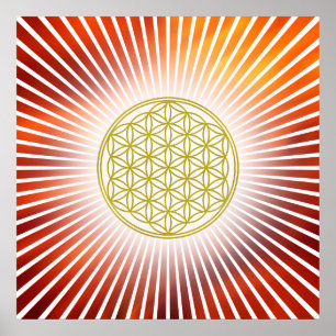 Flower Of Life / Blume des Lebens - white rays Poster