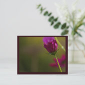 Flower Photo Postcard Feiertagspostkarte (Stehend Vorderseite)