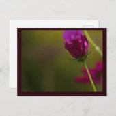 Flower Photo Postcard Feiertagspostkarte (Vorne/Hinten)