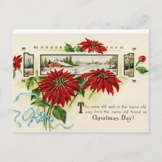 Flower Poinsettia Postcards Feiertagspostkarte