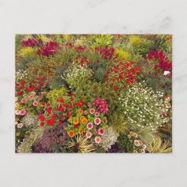 Flower Power - 10 Postkarte