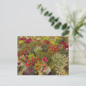 Flower Power - 10 Postkarte (Stehend Vorderseite)