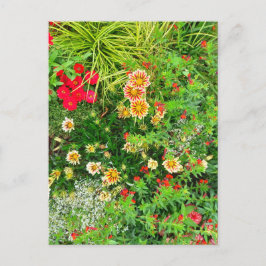 Flower Power - 11 Postkarte