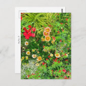 Flower Power - 11 Postkarte (Vorne/Hinten)