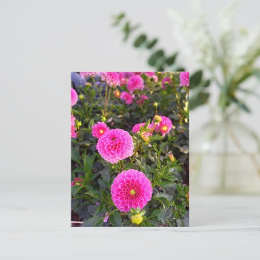 Flower Power - 12 Postkarte (Stehend Vorderseite)