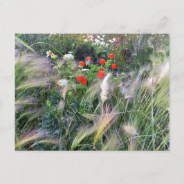 Flower Power - 13 Postkarte