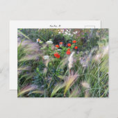 Flower Power - 13 Postkarte (Vorne/Hinten)