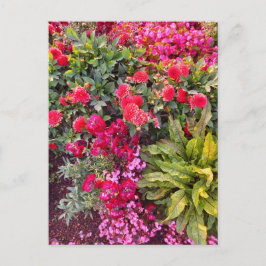 Flower Power - 14 Postkarte