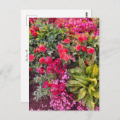 Flower Power - 14 Postkarte (Vorne/Hinten)