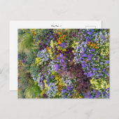 Flower Power - 1 Postkarte (Vorne/Hinten)