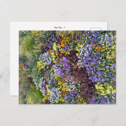 Flower Power - 1 Postkarte (Vorne/Hinten)