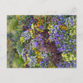 Flower Power - 1 Postkarte (Vorderseite)