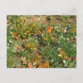 Flower Power - 2 Postkarte