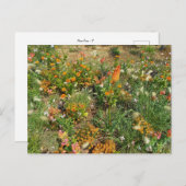 Flower Power - 2 Postkarte (Vorne/Hinten)