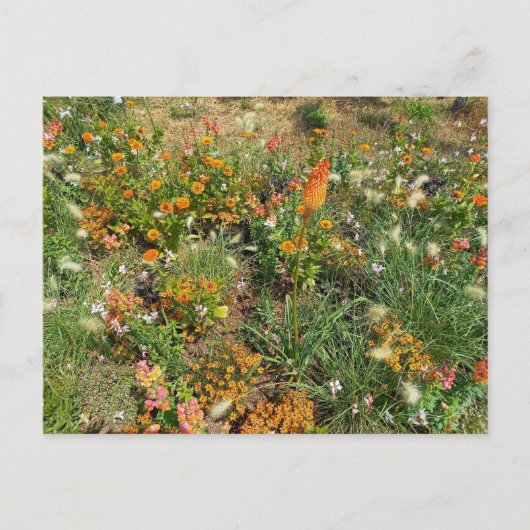 Flower Power - 2 Postkarte (Vorderseite)