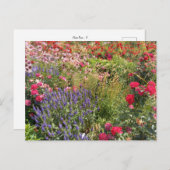 Flower Power - 3 Postkarte (Vorne/Hinten)