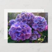 Flower Power 4 Postkarte (Vorne/Hinten)