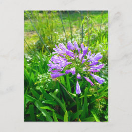 Flower Power - 5 Postkarte