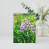 Flower Power - 5 Postkarte (Stehend Vorderseite)