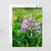 Flower Power - 5 Postkarte (Vorne/Hinten)