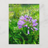 Flower Power - 5 Postkarte (Vorderseite)