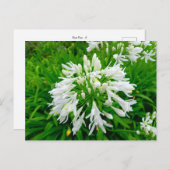 Flower Power - 6 Postkarte (Vorne/Hinten)