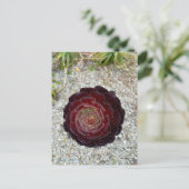 Flower Power - 7 Postkarte (Stehend Vorderseite)