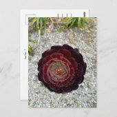 Flower Power - 7 Postkarte (Vorne/Hinten)