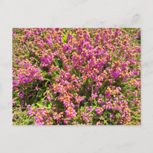 Flower Power - 8 Postkarte