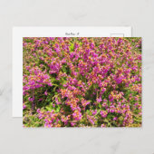 Flower Power - 8 Postkarte (Vorne/Hinten)